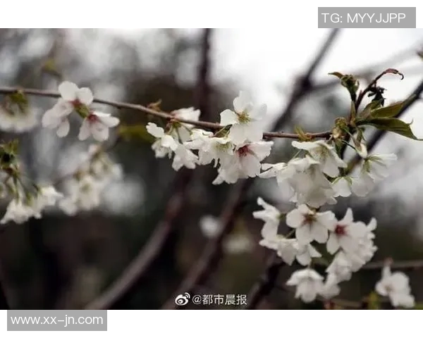 早报：期待已久的时刻终于到来，今天将迎来重要时刻